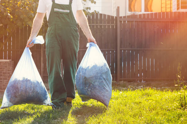 Best Dumpster Rental Services  in Daly City, CA