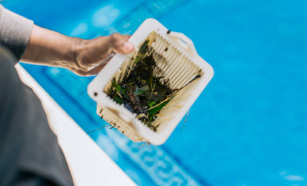 Best Estate Cleanout Services  in Daly City, CA